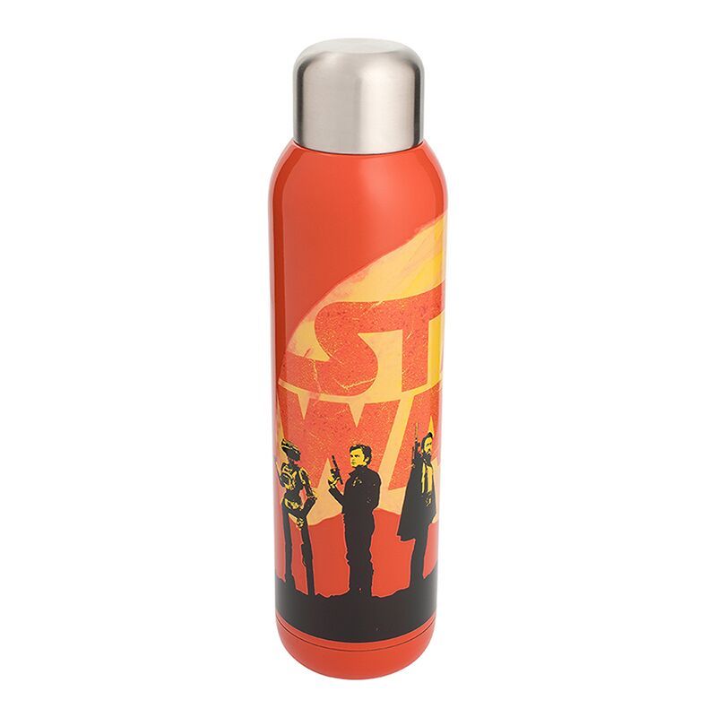 Star Wars 22 oz. Stainless Steel Water Bottle