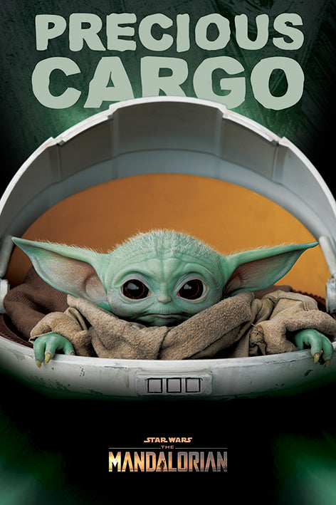 Star Wars : The Mandalorian 24" x 36" Precious Cargo Poster