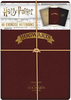 Cahiers d'exercices A6 Harry Potter (Lot de 3)